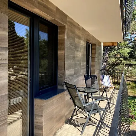 Czarny Kormoran * Hel