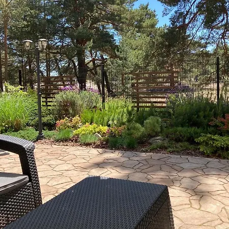 Czarny Kormoran * Hel