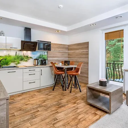 Czarny Kormoran Appartement *