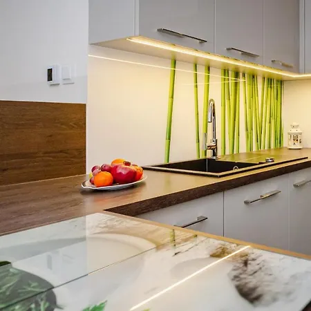 Appartement Czarny Kormoran