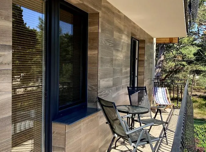 Czarny Kormoran * هيل