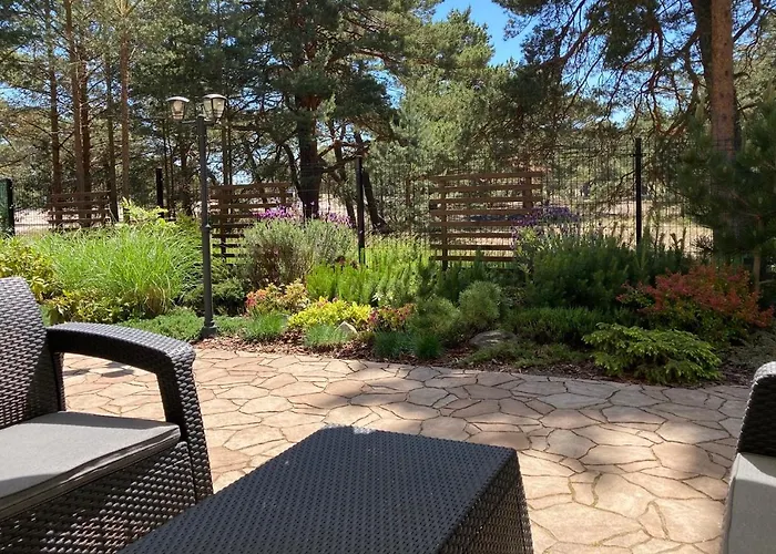 Czarny Kormoran * هيل