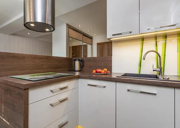 Apartment Czarny Kormoran